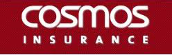 Cosmo Insurance Brokers
